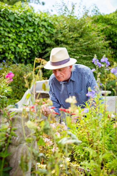 istock Senior man working in the garden 1404418105