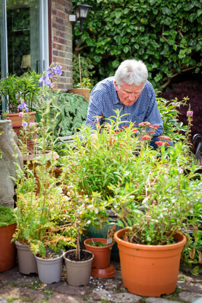 istock Senior man working in the garden 1404418153