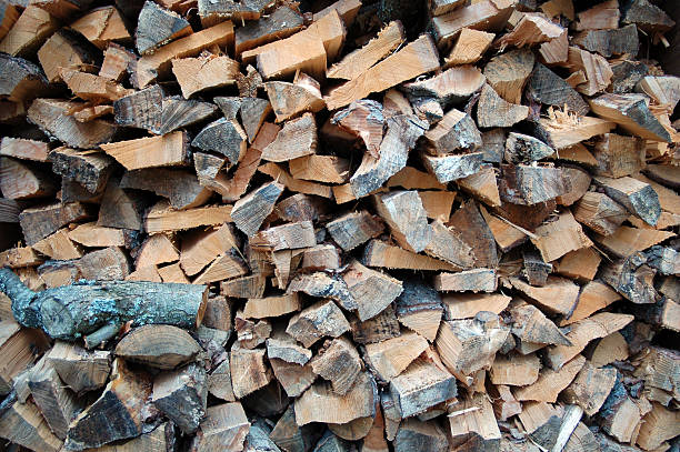 Logs. stock photo