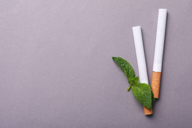 menthol cigarettes and mint leaves on grey background, flat lay. space for text - detrimental imagens e fotografias de stock