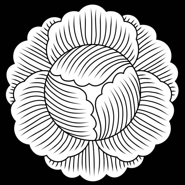 Botan Jpg 400+ Botan Flower Stock Photos, Pictures & Royalty-Free Images - iStock