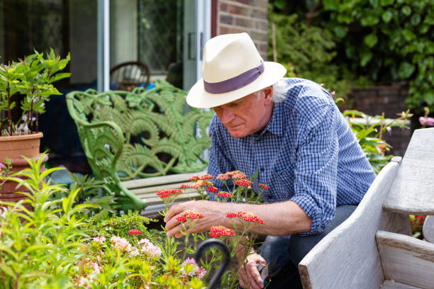 istock Senior man working in the garden 1404420564