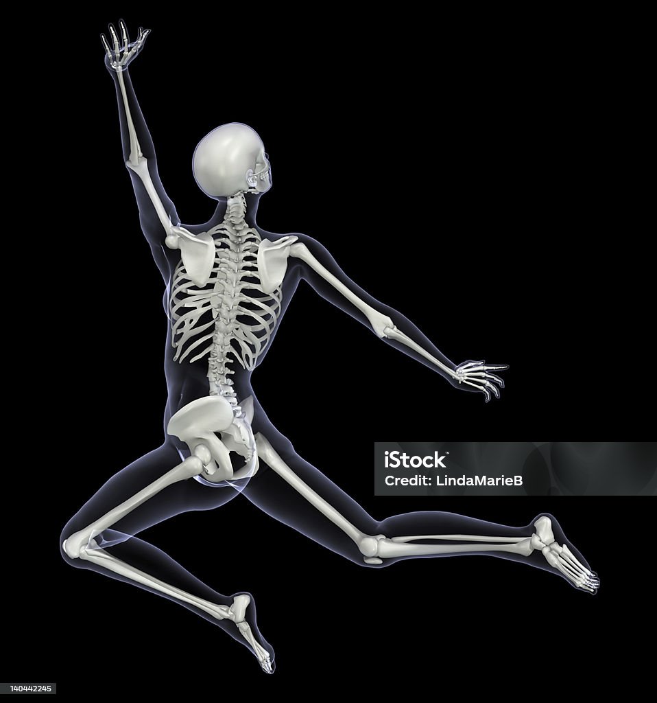 Skeleton in Motion - Woman Leaping 1 3D render of a female skeleton leaping, with body outline, back view. Anatomy Stock Photo