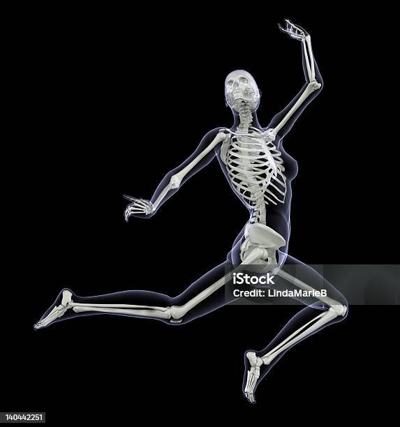 Skeleton In Motion Woman Leaping 2 Stock Photo - Download Image Now - Anatomy, Activity, Adult