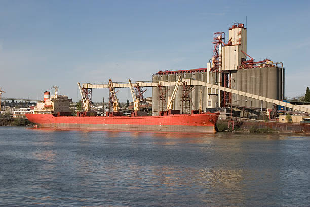 loading grain stock photo