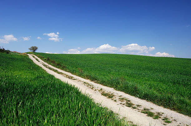 istock white road in green landscape 140442357