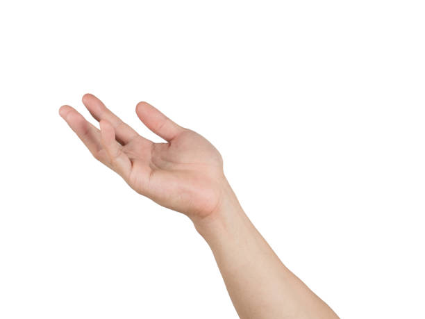 ARM 架构是一种怎样的处理器架构 知乎