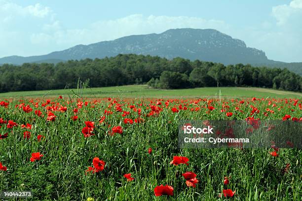 Poppies 랑그독-루시용에 대한 스톡 사진 및 기타 이미지 - 랑그독-루시용, 양귀비-식물, 0명