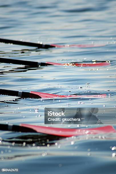 Oars In The Water Stock Photo - Download Image Now - Oar, Water, Bright