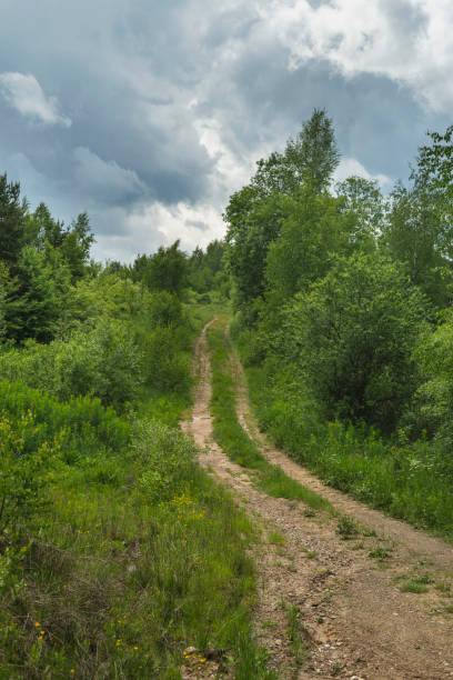 istock Dirty road through mountain meadow on cloudy day 1404427502