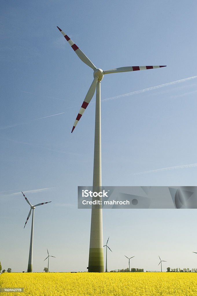 Turbine eoliche e campo di colza - Foto stock royalty-free di Agricoltura