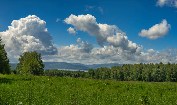 Beautiful mountain meadow with birch trees and white clouds on blue sky in background