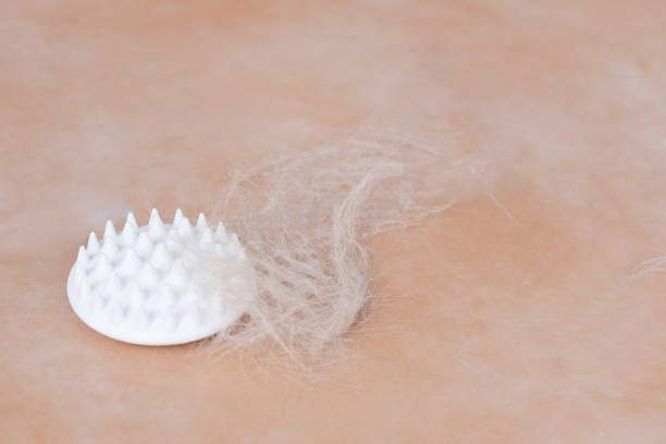 istock Brush and cat fur on the floor. 1404431826