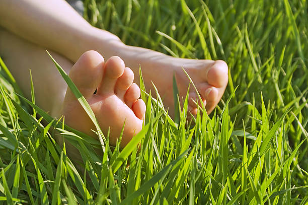 Close-up of a woman's bare feet laying in the grass stock photo