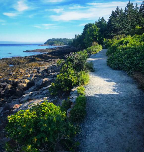 passeio da tarde em bar harbor - mount desert island - fotografias e filmes do acervo