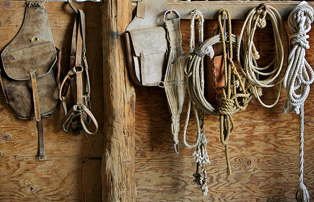 fileira de equipamentos de cavalo - leather harness - fotografias e filmes do acervo
