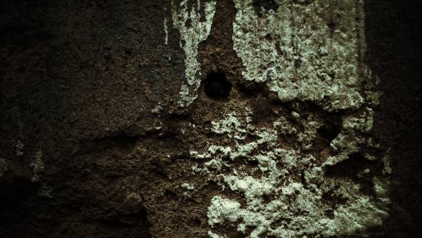 istock scary dark cement texture for background,old concrete wall full of scratches 1404436039