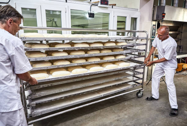 istock Professional bakers in uniform inserts cart with decks for baking raw dough to make bread in an industrial oven in a bakery 1404439598