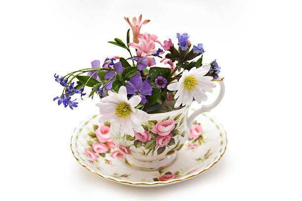 A bone china teacup and saucer filled with spring flowers - isolated on white - shallow depth of field.  More images of beautiful flowers and teacups from my portfolio: