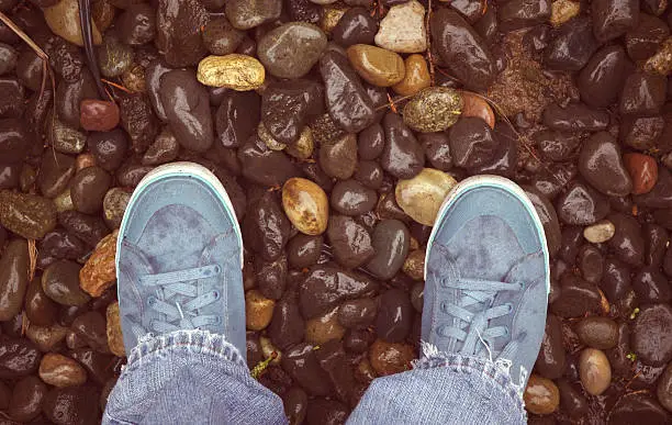 a pair of blue shoes on some rocks.