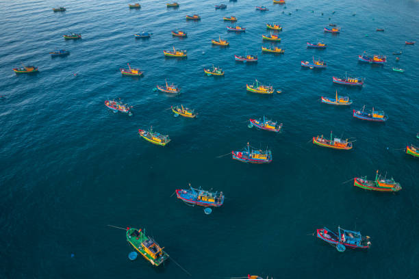 Fishing boats on Xuan Hai beach Drone view of fishing boats are nailing side by side on Xuan Hai beach, Song Cau town, Phu Yen province, central Vietnam basket boat stock pictures, royalty-free photos & images