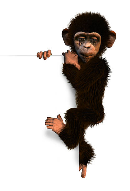 3D render of a cute cartoon chimp climbing on the edge of a blank sign.