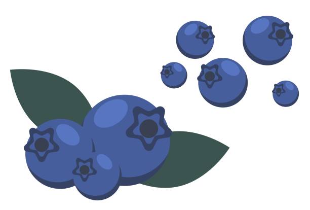 白い背景に葉が分離された熟したブルーベリーのセット - blueberry white background blue heap点のイラスト素材／クリップアート素材／マンガ素材／アイコン素材