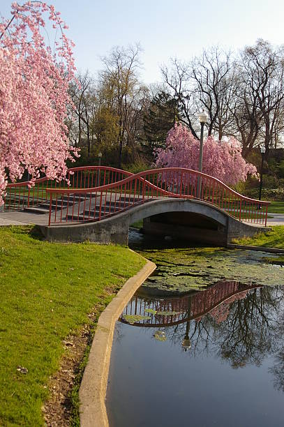 This is springtime in Italian Lake, a park located in the city of Harrisburg, Pennsylvania