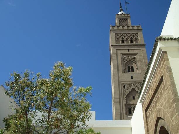istock Mosque in Casablanca / Maroc 140445041