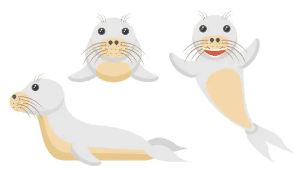 Vector illustration of Set Abstract Collection Flat Cartoon Different Animal Seal Sea Calf Floats Swim Vector Design Elements Fauna Wildlife