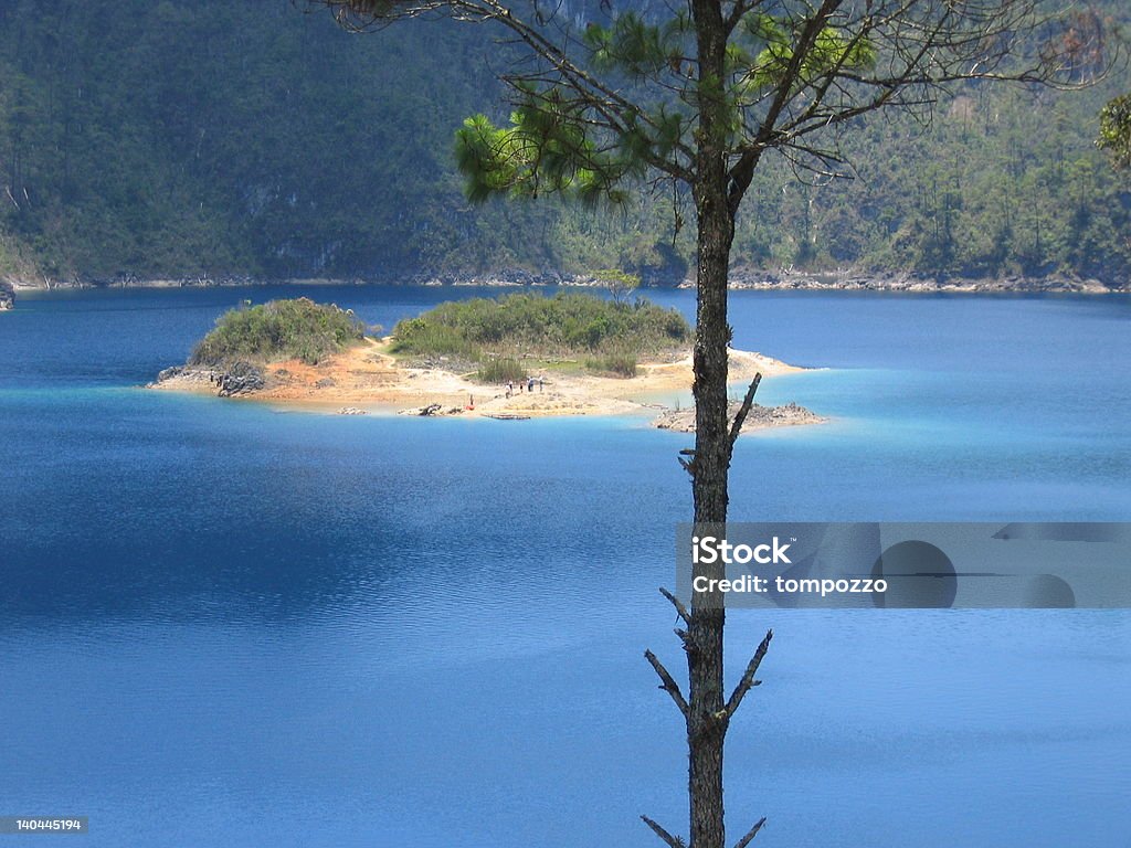 Isla detrás de un árbol sobre la laguna - Foto de stock de Agua libre de derechos