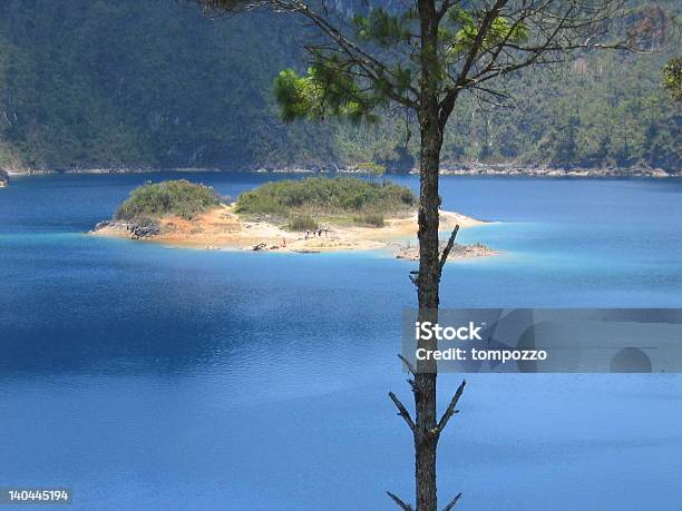 Isla Detrás De Un Árbol Sobre La Laguna Foto de stock y más banco de imágenes de Agua - Agua, Agua potable, Aire libre