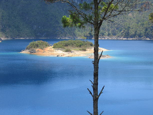 Island behind a tree on the lagoon stock photo