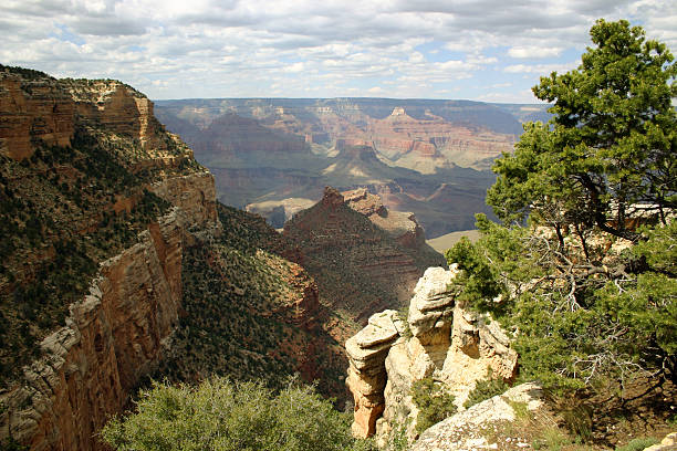 istock Grand Canyon View - South Rim 140445206