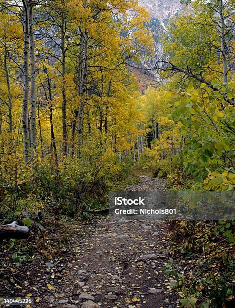 Mountian Rower Trail - zdjęcia stockowe i więcej obrazów Aspen - Colorado - Aspen - Colorado, Bicykl, Brudny