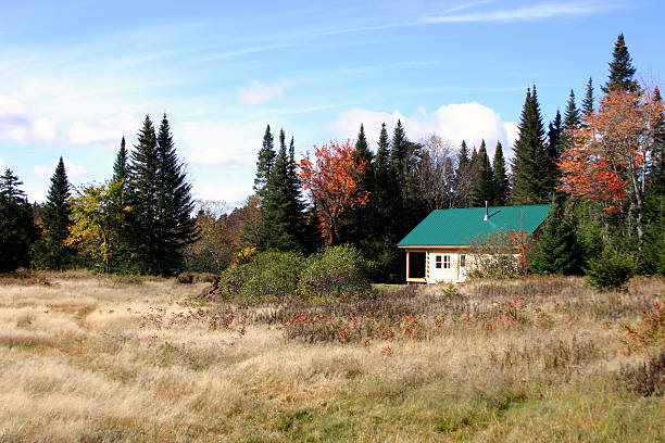 istock North Woods Cabin - Maine 140445255