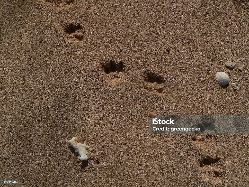 Hund Muster am Strand sand - Lizenzfrei Bildhintergrund Stock-Foto