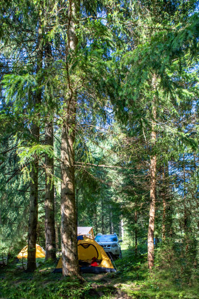 istock yellow tent with suv car in forest 1404455839