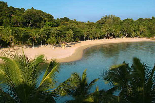 Beautiful beach on island off Singapore stock photo