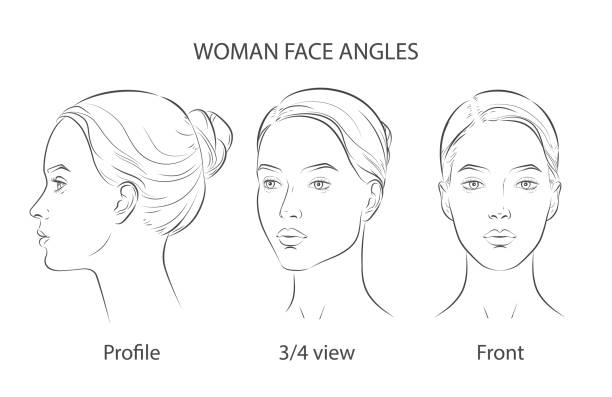 Vector woman face. Set of three different angles. Different view front, profile, three-quarter of a girl face. Vector woman face. Five different angle view. Set of head portraits young girl. Three dimension front, profile, three-quarter, turn of. Close-up realistic line sketch. side eye expression stock illustrations