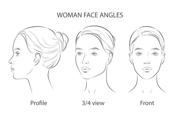 Vector woman face. Set of three different angles. Different view front, profile, three-quarter of a girl face. Vector woman face. Five different angle view. Set of head portraits young girl. Three dimension front, profile, three-quarter, turn of. Close-up realistic line sketch. face outline stock illustrations