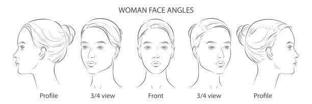 ilustrações, clipart, desenhos animados e ícones de rosto de mulher vetor. conjunto de três ângulos diferentes. frente de visão diferente, perfil, três quartos de uma cara de menina. - different angles