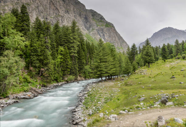 istock Rocky mountains with fresh water and trees making a landscape 1404457934