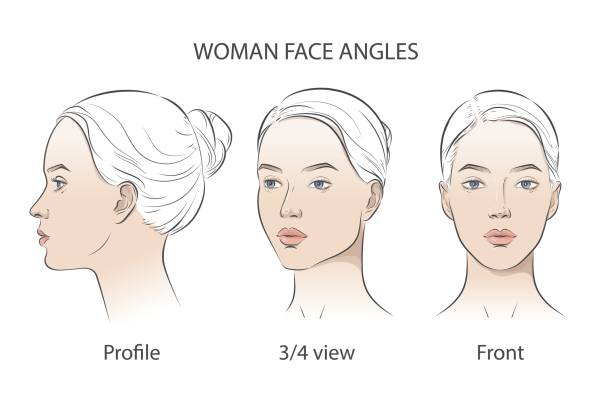Vector woman face. Set of three different angles. Different view front, profile, three-quarter of a girl face. Vector woman face. Five different angle view. Set of head portraits young girl. Three dimension front, profile, three-quarter, turn of. Close-up realistic line sketch. face-angles stock illustrations