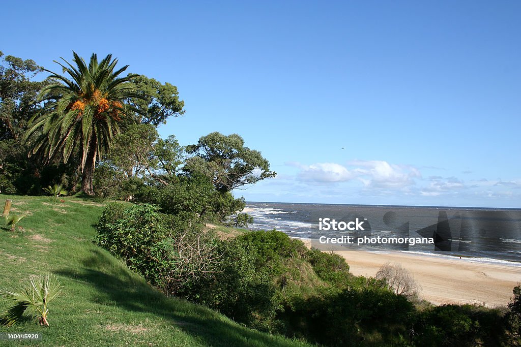 Playa de Atlantida - Foto de stock de Uruguay libre de derechos