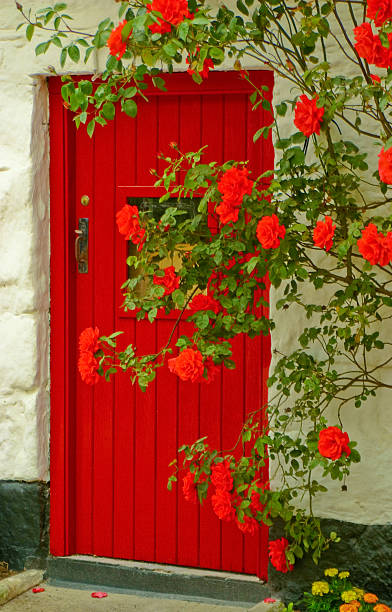 istock Red Door and Roses 140446058