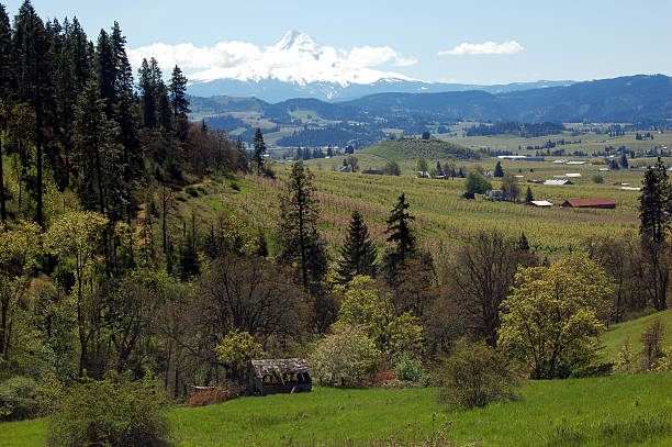 istock Mt Hood and Countryside 140446171