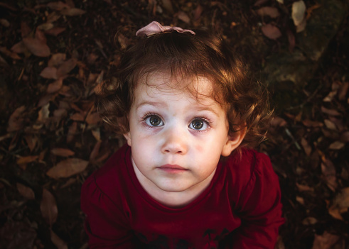 Adorable little girl sat on the forest floor covered in autumn leaves looking up at the camera