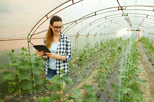 Young woman with digital tablet working in a greenhouse