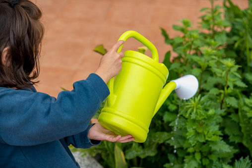 little girl with watering can pouring water to flowers at garden